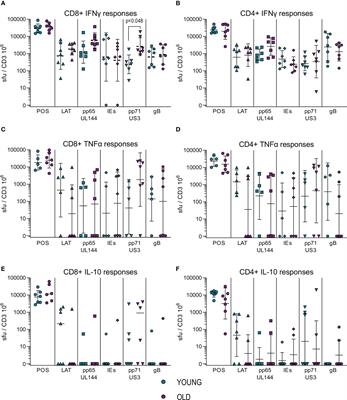 HCMV carriage in the elderly diminishes anti-viral functionality of the adaptive immune response resulting in virus replication at peripheral sites